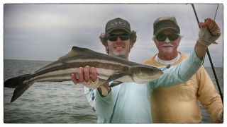 Islamorada cobia fishing