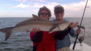 islamorada cobia fishing