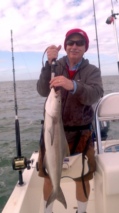 florida keys cobia fishing