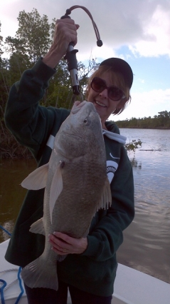 Islamorada Black Drum