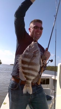 Islamorada sheepshead