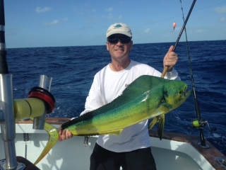 Islamorada mahi