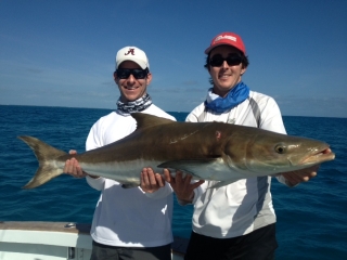 Islamorada cobia