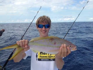 islamorada yellowtail snapper