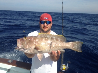 islamorada yellowedge grouper