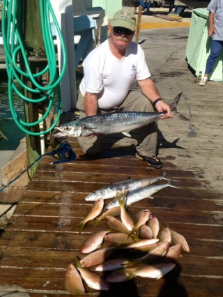 Islamorada Reef Fish