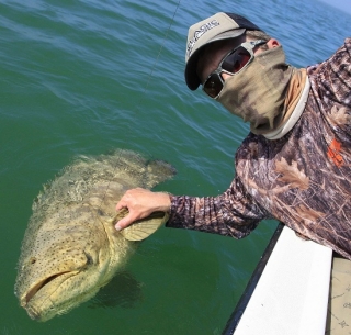 islamorada goliath grouper