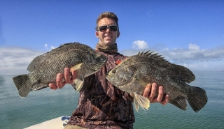 islamorada tripletail