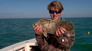 triple tail gulf of mexico