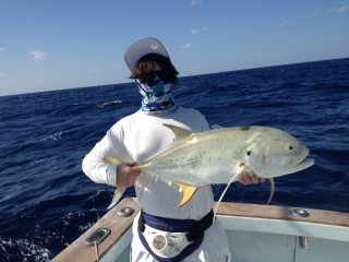 islamorada crevalle jack