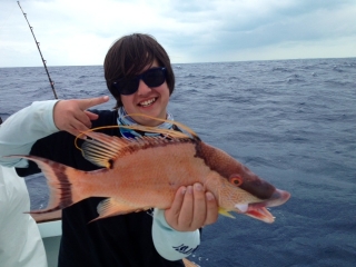 islamorada hogfish