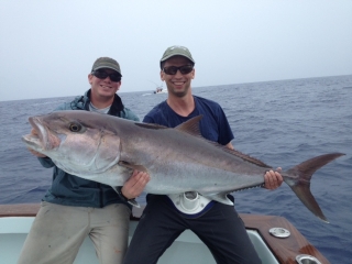 islamorada amberjack