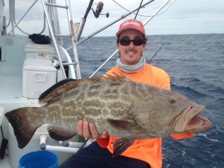 islamorada black grouper