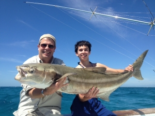 islamorada cobia