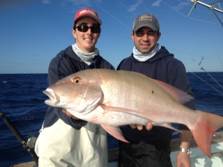 islamorada mutton snapper