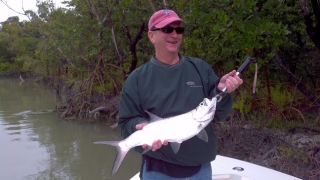 tarpon islamorada