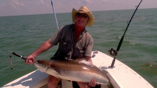 february islamorada cobia