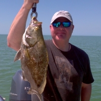 march tripletail