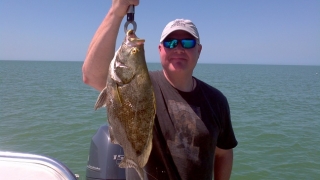 march tripletail