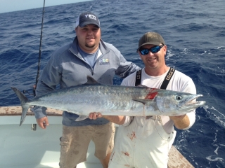 islamorada kingfish