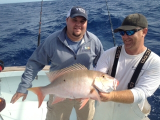 islamorada mutton snapper