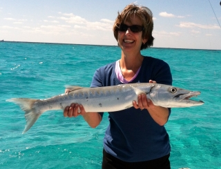 islamorada barracuda