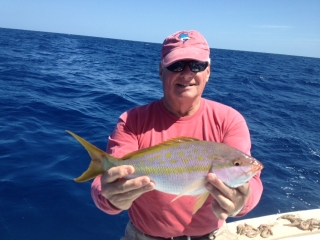 islamorada yellowtail