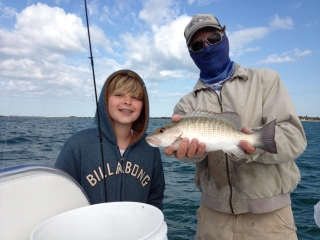 march mangrove snapper