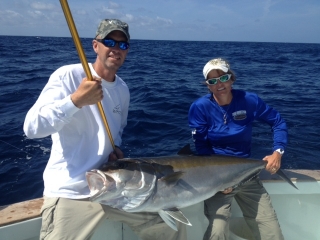 bnm amberjack