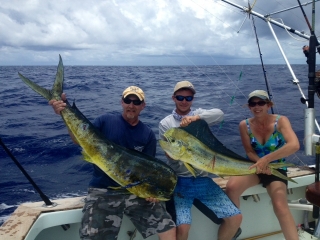 mahi islamorada