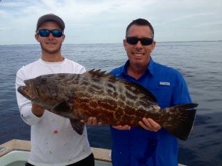 grouper Islamorada