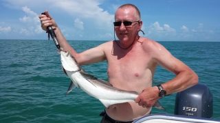 june islamorada cobia